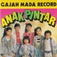 Anak Pintar