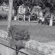 Tuve Que Single