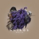 Kairos Single