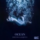 Ocean Single