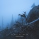 tears of dust Single