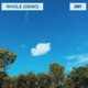 Whole demo Single
