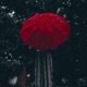 All I See is Red feat JXNIIXR Single