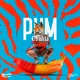 Pum Chulita Sexy Una Loca en el Tubo feat Dj Crazy Single