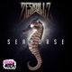 Seahorse Single