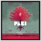 Paki Single