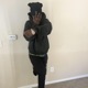 Fire Biddy feat 300sgkarl BIG HAULIN Single