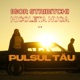 Pulsul Tãu feat Nicoleta Nuca Single