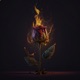 RELAPSE Single