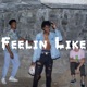 Feelin Like feat Phree Single