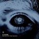 Rules of the Dance Single