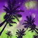 Coastline Single