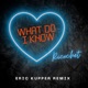 What Do I Know Eric Kupper Dance Remix Club Single