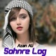 Sohnre Log