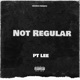 Not Regular Single