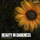Beauty Darkness Single