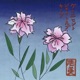 Hiromi 浩美 feat Kitz J Tolb Single