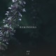 Reminders Single