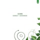 Sunset Serenade Single