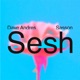 Sesh Single