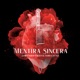 Mentira Sincera feat AT Fat Single