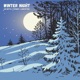 Winter night Single