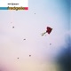 Fredgeile Radio Edit Single