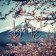 Last Life Single