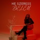 Ne szeress belém Single