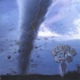 Storm