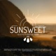 Sunsweet 010 Downtempo Organic House DJ Mix