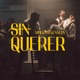 Sin querer feat Mueka Single