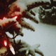 Jingle Bells Single