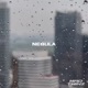 Nebula Single