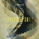Crocodile Smile feat Relena Rochelle Single