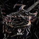 Rock N Rave Single