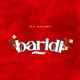 Baridi Single