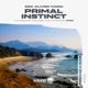 Primal Instinct TINKA DAN s Offshore Remix Single