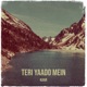 Teri Yaado Mein feat Demyth RedZing Single