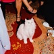At a Party Single