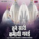 Tune Sari Kamayi Gavayi Single