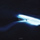 Wave Single
