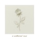 a withered rose Single