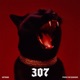 307 feat Ustaad Single