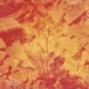Where Flowers Never Grow EP