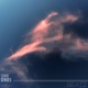 Senses Single