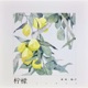 柠檬 Single