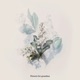Flowers for grandma Single