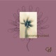 Deconstructed EP