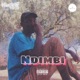 Ndimbi Single